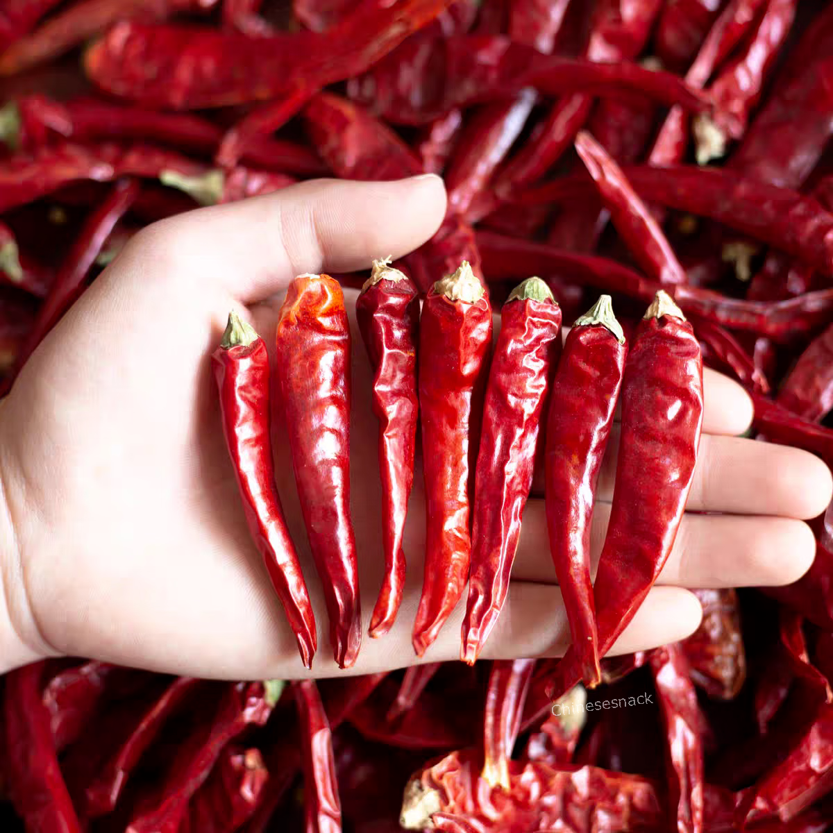 500g China Dried Chili Dry Chilli Peppers Red Chili Chinese Spices 中国干红辣椒朝天椒小米辣